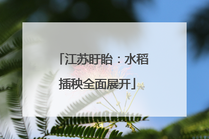 江苏盱眙：水稻插秧全面展开