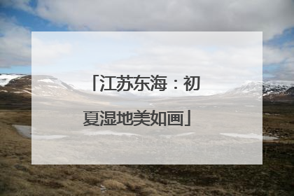 江苏东海：初夏湿地美如画