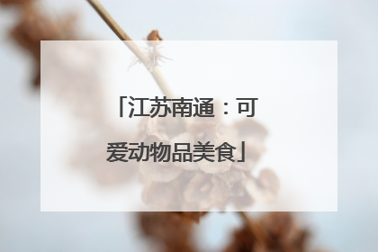 江苏南通：可爱动物品美食