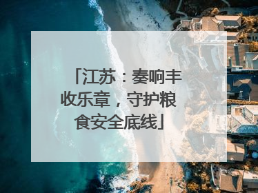 江苏：奏响丰收乐章，守护粮食安全底线