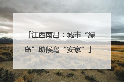 江西南昌：城市“绿岛”助候鸟“安家”