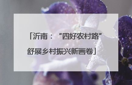 沂南：“四好农村路”舒展乡村振兴新画卷