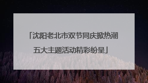 沈阳老北市双节同庆掀热潮 五大主题活动精彩纷呈