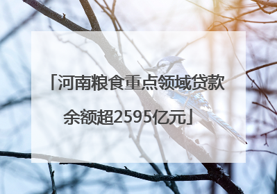 河南粮食重点领域贷款余额超2595亿元