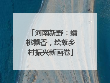 河南新野：蟠桃飘香，绘就乡村振兴新画卷