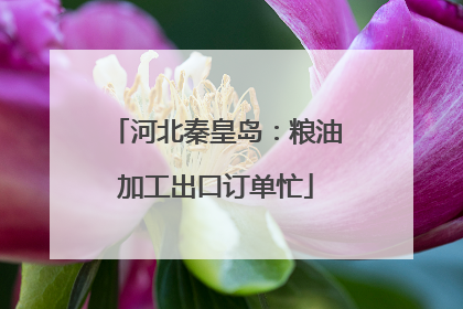 河北秦皇岛：粮油加工出口订单忙