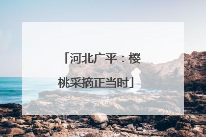 河北广平：樱桃采摘正当时