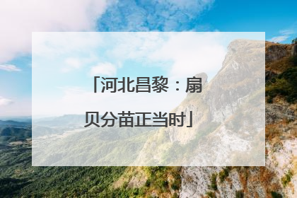 河北昌黎：扇贝分苗正当时
