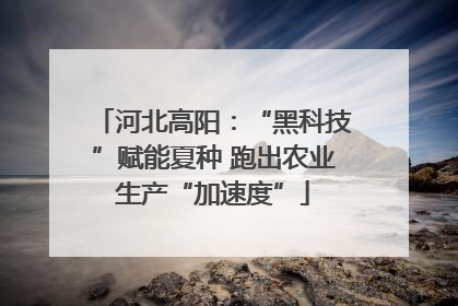 河北高阳：“黑科技”赋能夏种 跑出农业生产“加速度”
