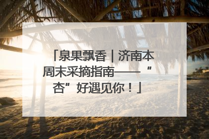 泉果飘香｜济南本周末采摘指南——“杏”好遇见你！