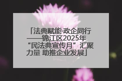 法典赋能·政企同行——锦江区2025年“民法典宣传月”汇聚力量 助推企业发展