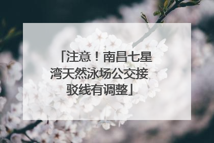 注意！南昌七星湾天然泳场公交接驳线有调整