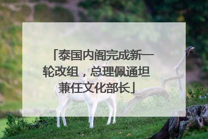 泰国内阁完成新一轮改组，总理佩通坦兼任文化部长