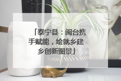 泰宁县：闽台携手赋能，绘就乡建乡创新图景