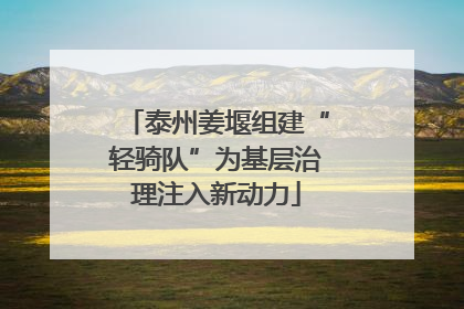 泰州姜堰组建“轻骑队”为基层治理注入新动力