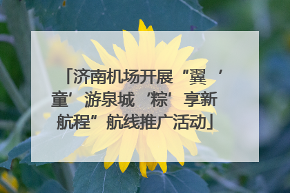 济南机场开展“翼‘童’游泉城‘粽’享新航程”航线推广活动