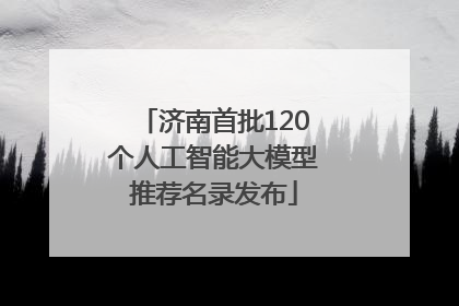 济南首批120个人工智能大模型推荐名录发布