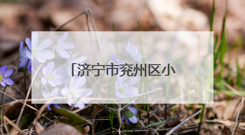 济宁市兖州区小孟镇“三夏”工作平稳有序进行