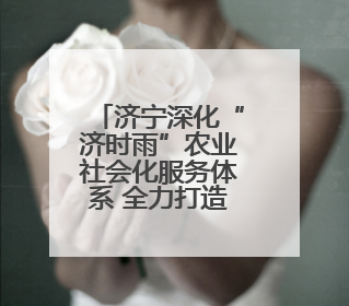 济宁深化“济时雨”农业社会化服务体系 全力打造服务乡村振兴“供销样板”