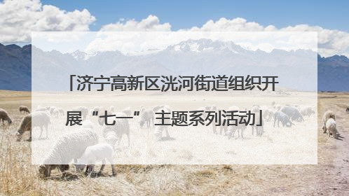 济宁高新区洸河街道组织开展“七一” 主题系列活动