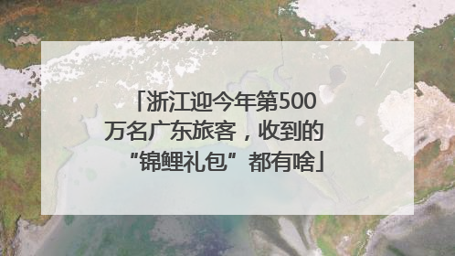 浙江迎今年第500万名广东旅客，收到的“锦鲤礼包”都有啥