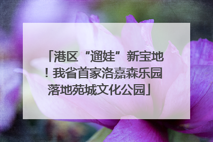 港区“遛娃”新宝地！我省首家洛嘉森乐园落地苑城文化公园