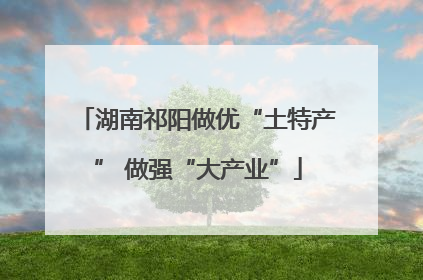 湖南祁阳做优“土特产” 做强“大产业”