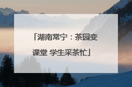 湖南常宁：茶园变课堂 学生采茶忙