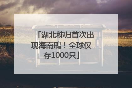 湖北秭归首次出现海南鳽！全球仅存1000只