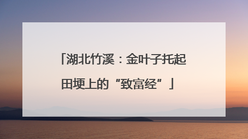 湖北竹溪：金叶子托起田埂上的“致富经”