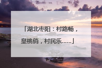 湖北枣阳：村路畅，皇桃俏，村民乐……