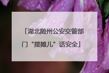 湖北随州公安交管部门“摆摊儿”话安全