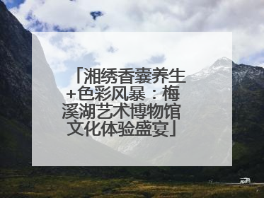 湘绣香囊养生+色彩风暴：梅溪湖艺术博物馆文化体验盛宴