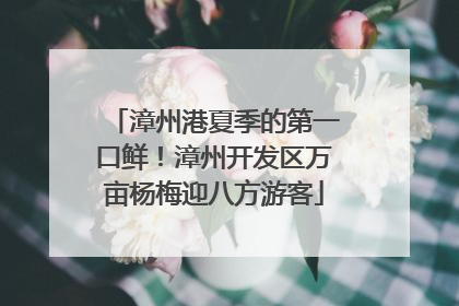 漳州港夏季的第一口鲜！漳州开发区万亩杨梅迎八方游客