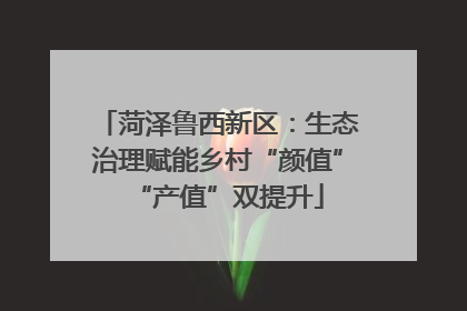 菏泽鲁西新区：生态治理赋能乡村“颜值”“产值”双提升