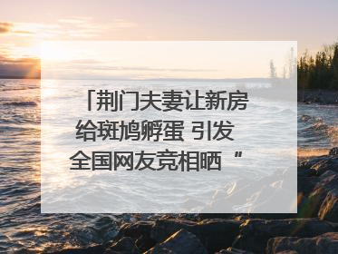 荆门夫妻让新房给斑鸠孵蛋 引发全国网友竞相晒“人鸟共处”图