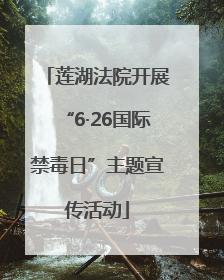 莲湖法院开展“6·26国际禁毒日”主题宣传活动