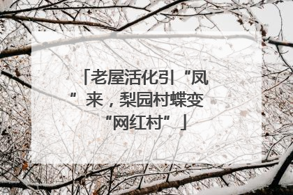 老屋活化引“凤”来，梨园村蝶变“网红村”