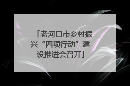 老河口市乡村振兴“四项行动”建设推进会召开