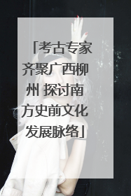 考古专家齐聚广西柳州 探讨南方史前文化发展脉络