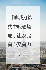 聊城打造集中晾晒场地，让农民省心又省力