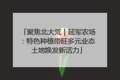 聚焦北大荒｜延军农场：特色种植带旺多元业态 土地焕发新活力