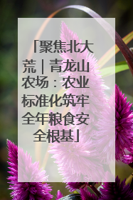 聚焦北大荒｜青龙山农场：农业标准化筑牢全年粮食安全根基