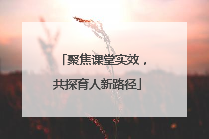 聚焦课堂实效，共探育人新路径