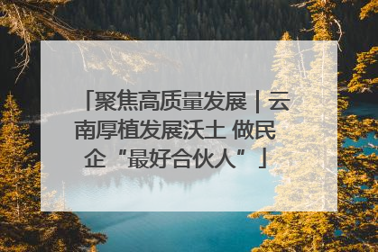 聚焦高质量发展｜云南厚植发展沃土 做民企“最好合伙人”