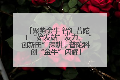 聚势金牛 智汇普陀〡“始发站”发力、“创新田”深耕，普陀科创“金牛”闪耀