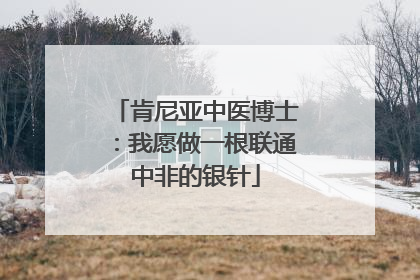 肯尼亚中医博士：我愿做一根联通中非的银针