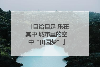 自给自足 乐在其中 城市里的空中“田园梦”