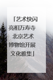 艺术快闪亮相万寿寺 北京艺术博物馆开展文化雅集