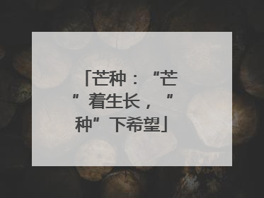 芒种：“芒”着生长，“种”下希望